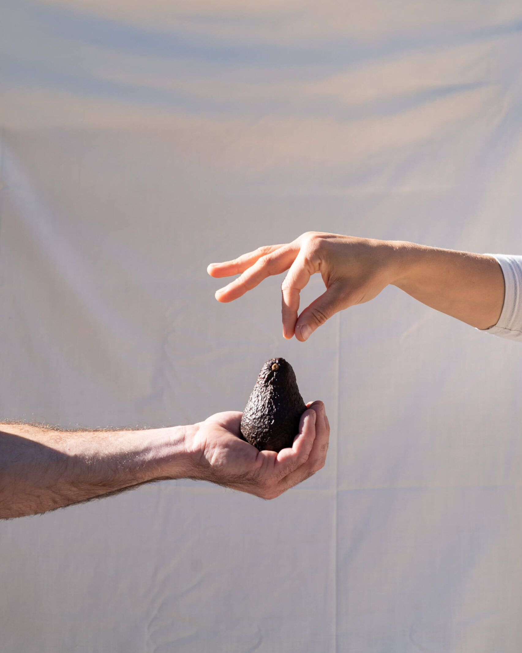 Ondu-245-aguakateak-nuestros-valores